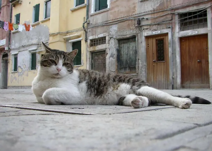 Apartment Essence Of Venice